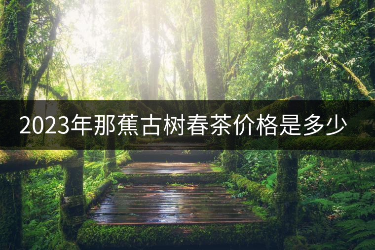 2023年那蕉古樹春茶價格是多少?