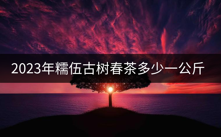 2023年糯伍古樹春茶多少一公斤？