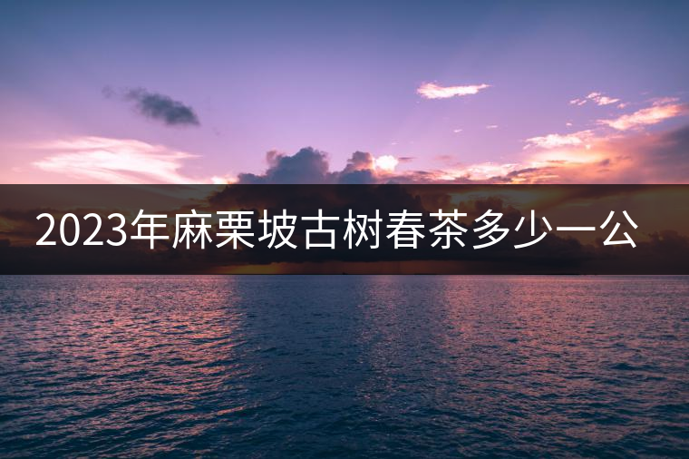 2023年麻栗坡古樹春茶多少一公斤？