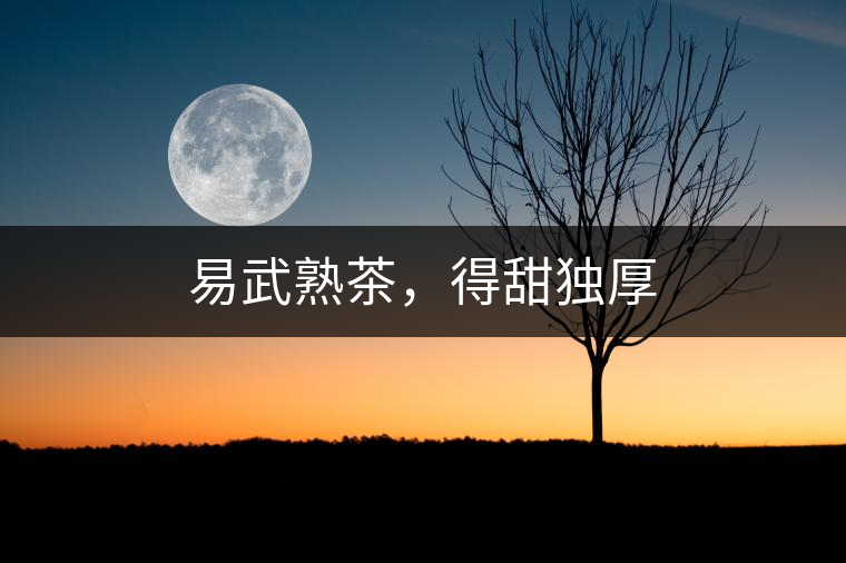 易武熟茶,得甜獨(dú)厚 易武熟茶,得甜獨(dú)厚