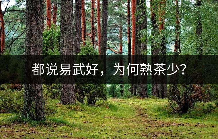 都說(shuō)易武好，為何熟茶少？