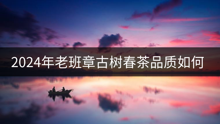 2024年老班章古樹春茶品質(zhì)如何？