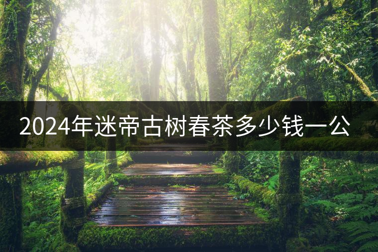 2024年迷帝古樹春茶多少錢一公斤？