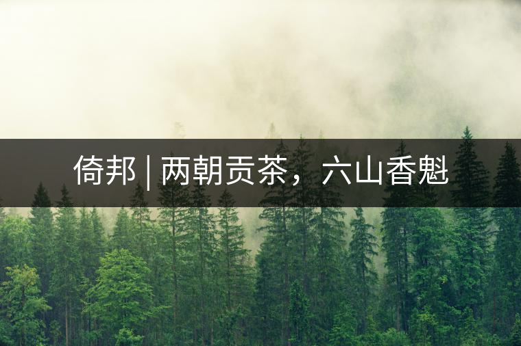倚邦 | 兩朝貢茶，六山香魁