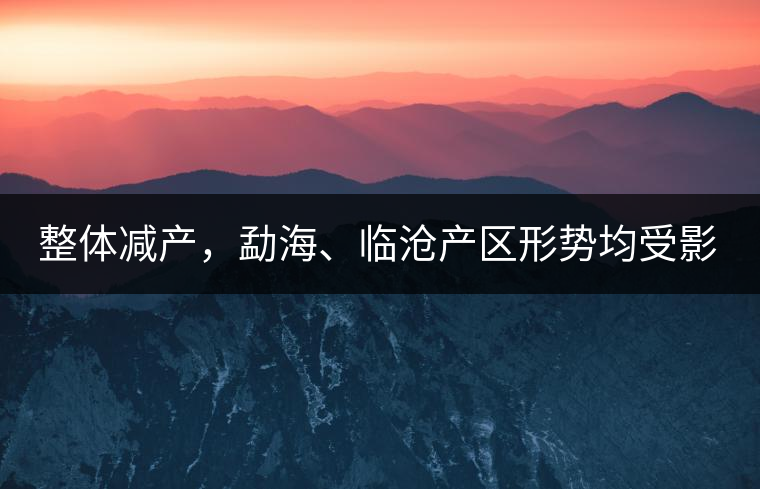 整體減產(chǎn)，勐海、臨滄產(chǎn)區(qū)形勢(shì)均受影響