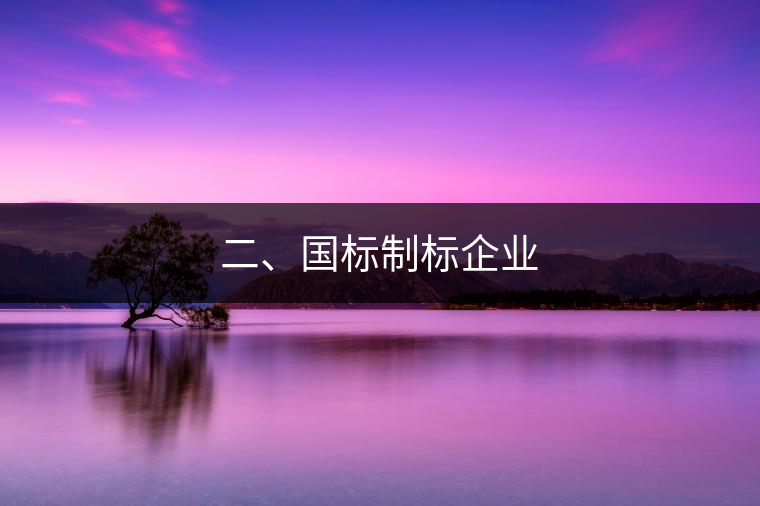 二、國標(biāo)制標(biāo)企業(yè)