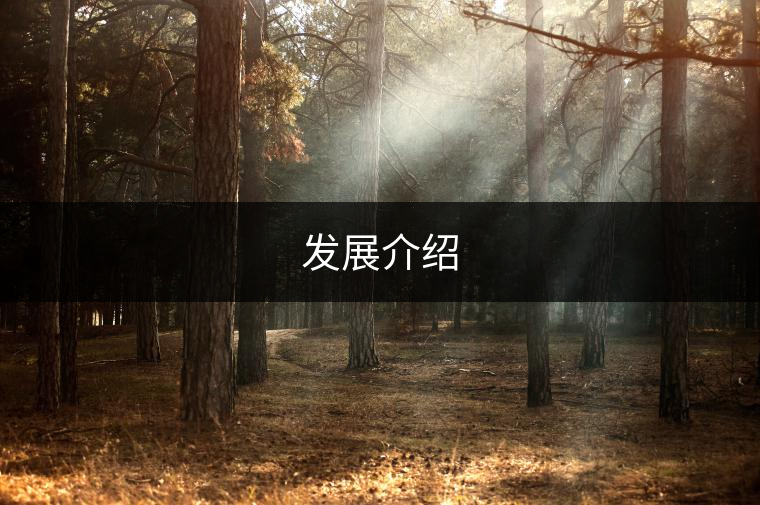 發(fā)展介紹