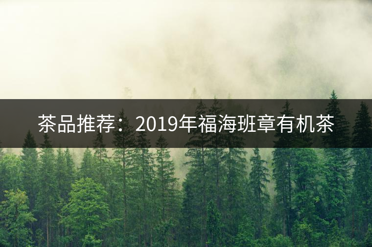 茶品推薦：2019年福海班章有機茶