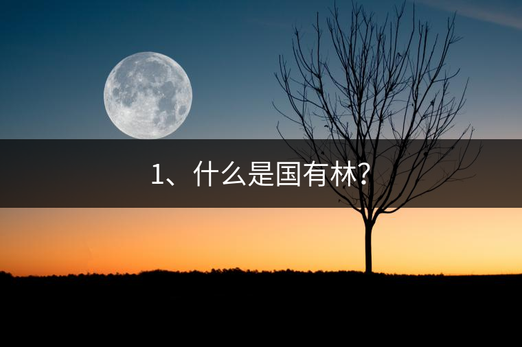 1、什么是國(guó)有林？