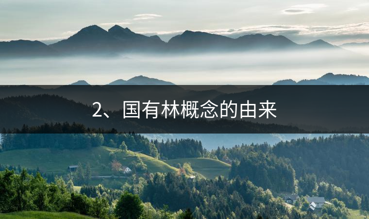 2、國(guó)有林概念的由來(lái)