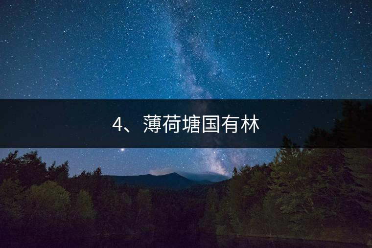 4、薄荷塘國(guó)有林