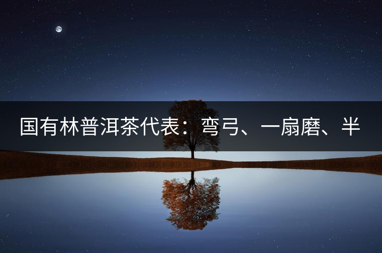 國有林普洱茶代表：彎弓、一扇磨、半坡老寨