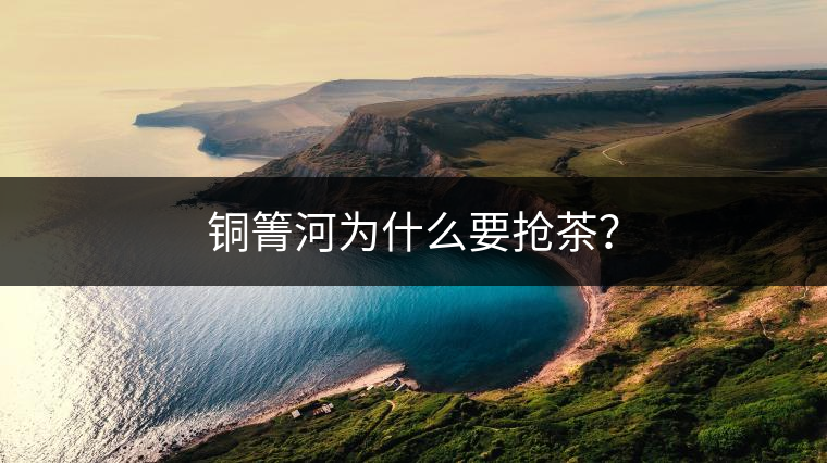 銅箐河為什么要搶茶？