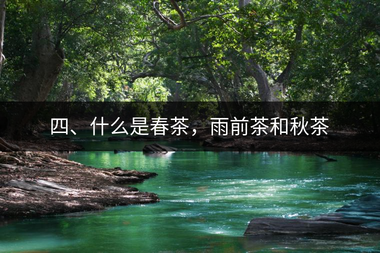 四、什么是春茶，雨前茶和秋茶