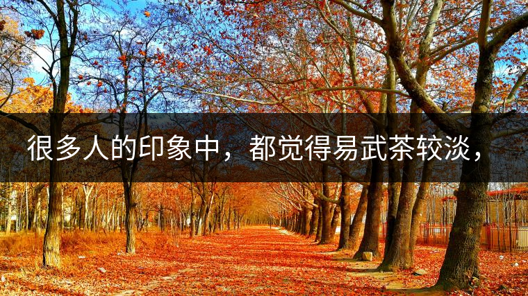 很多人的印象中，都覺得易武茶較淡，但存放幾年后，再喝又覺得茶味茶氣變濃了。我們就這個(gè)問題，考察了易武古茶山，和走訪了當(dāng)?shù)夭柁r(nóng)。我們發(fā)現(xiàn)這跟易武古樹茶的茶質(zhì)和茶農(nóng)制茶的傳統(tǒng)工藝有關(guān)。