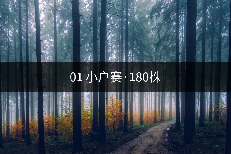 01 小戶賽·180株 01 小戶賽·180株