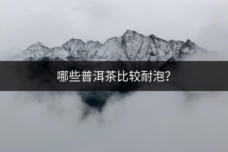 哪些普洱茶比較耐泡？