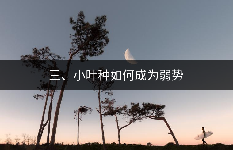 三、小葉種如何成為弱勢(shì)