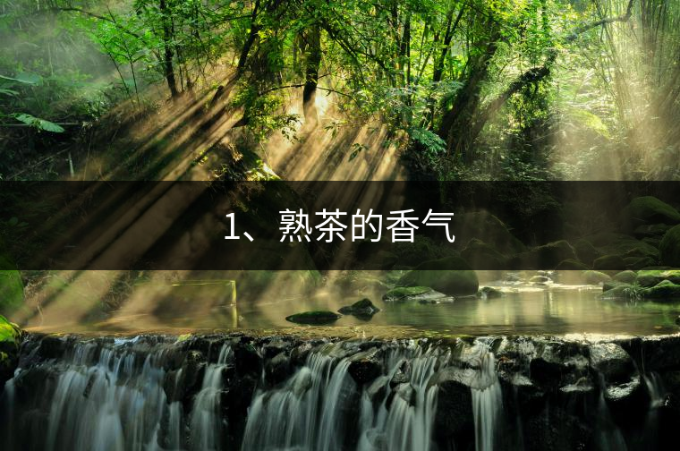 1、熟茶的香氣