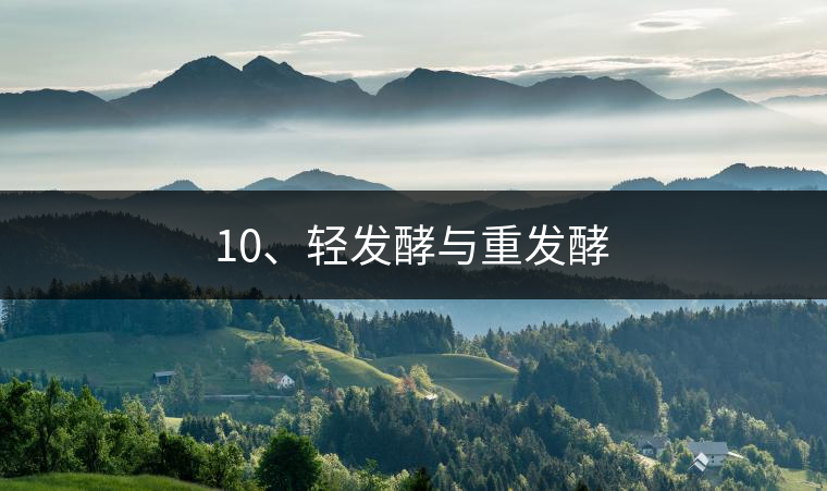 10、輕發(fā)酵與重發(fā)酵