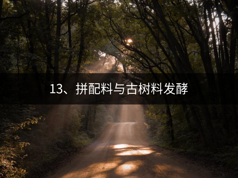 13、拼配料與古樹(shù)料發(fā)酵