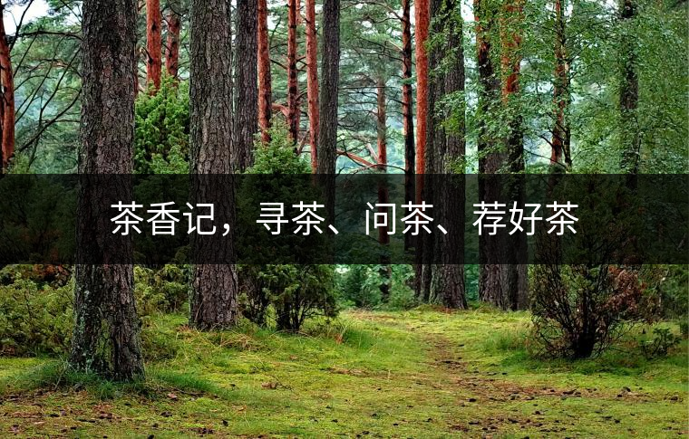 茶香記，尋茶、問茶、薦好茶