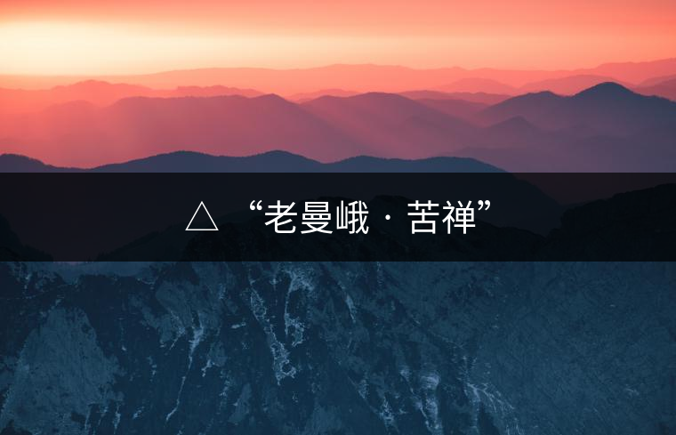 △ “老曼峨 · 苦禪”