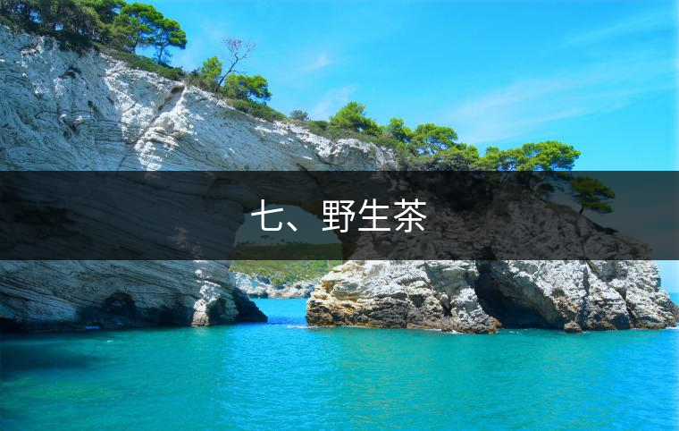 七、野生茶