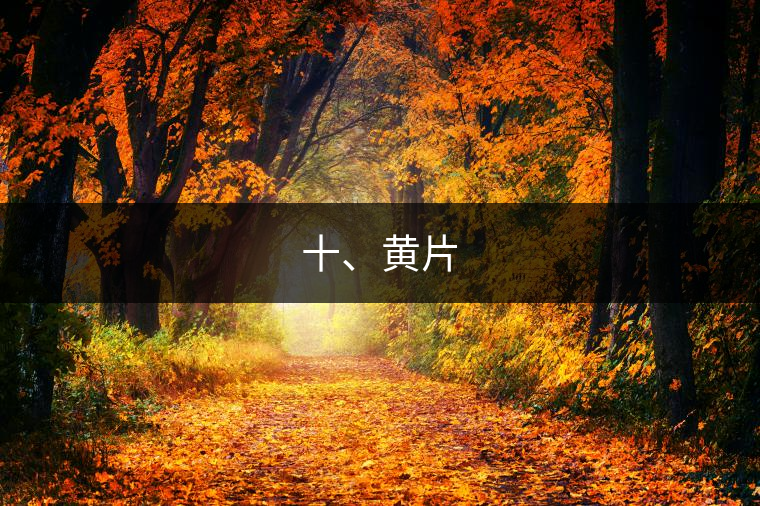 十、黃片