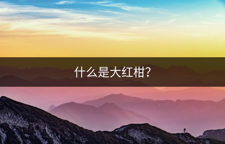 什么是大紅柑？