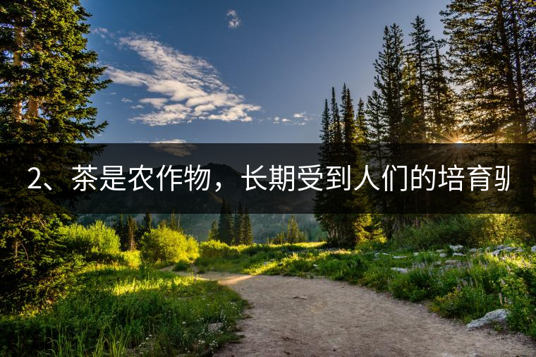 2、茶是農(nóng)作物，長(zhǎng)期受到人們的培育馴化。