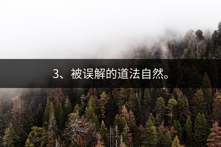 3、被誤解的道法自然。