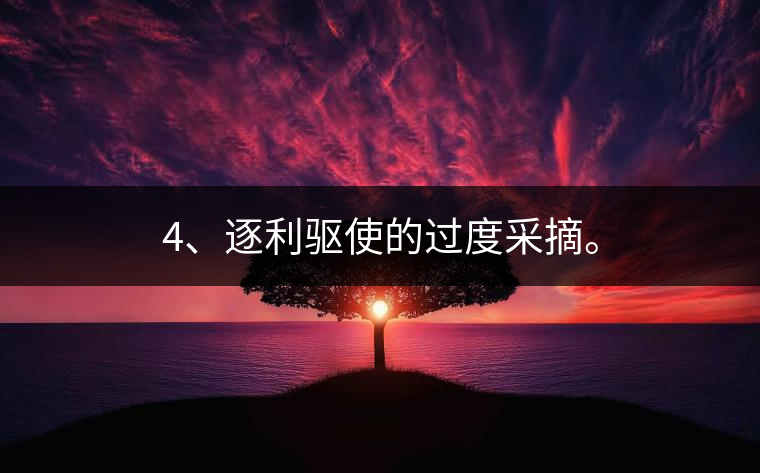 4、逐利驅(qū)使的過(guò)度采摘。