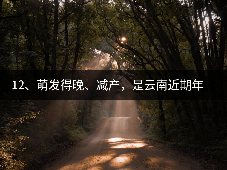 12、萌發(fā)得晚、減產(chǎn)，是云南近期年氣候變化在茶樹(shù)上的延遲反映。