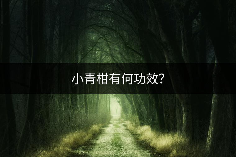 小青柑有何功效？