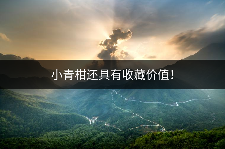 小青柑還具有收藏價值！