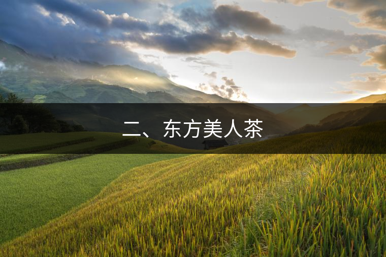 二、東方美人茶