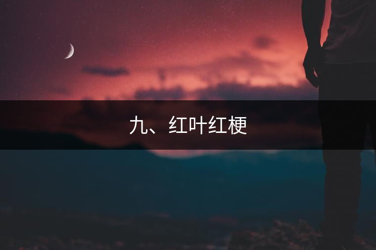 九、紅葉紅梗