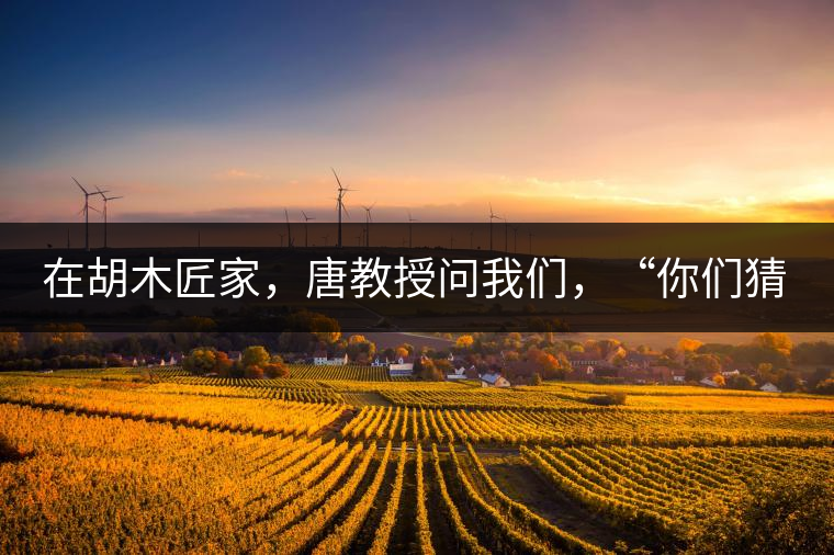 在胡木匠家，唐教授問(wèn)我們，“你們猜猜他們家的茶放在哪里？”我們回答廚房、客廳都不對(duì)，“難道像寺院一樣，有專門(mén)的茶房不成？”教授和木匠都哈哈大笑，連連搖頭。在木匠的帶領(lǐng)下，我們來(lái)到主人的臥室，茶磚整齊有序地堆放在床頭柜里。一家之主的臥室，既是休息之所，亦是一家財(cái)富與傳家寶的收藏地。茶之精貴，毋需多言。