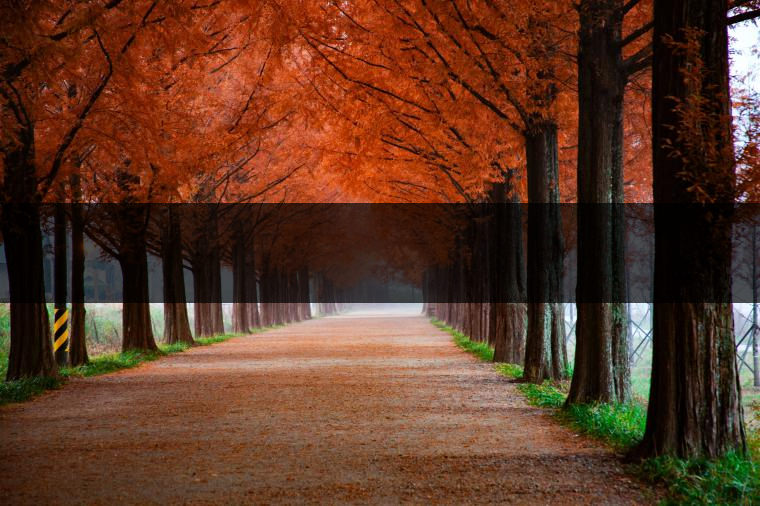 這樣的茶葉邊疆文化，也許是明代大學(xué)者解縉最樂(lè)意見(jiàn)到的。他曾說(shuō)，中原最好的東西就是茶，而番人最好的就是馬。他贊同明廷茶馬互市的國(guó)策：茶之于夷人，如同中國(guó)之酒醴，因?yàn)椴桉R貿(mào)易，許多夷人也開(kāi)始學(xué)習(xí)中國(guó)的知識(shí)，對(duì)中國(guó)也有了向慕之心，那么茶的作用就很顯然，茶有著“夷夏之交，義利之辨，寅賓尚忠信而篤敬，河州固唐虞三代之邦也?！?茶不僅僅是一種飲品，還有其他。茶作為媒介，體現(xiàn)了觀念的變化。如今，隨著茶的傳播，各族人民有了更深入往來(lái)，通過(guò)貿(mào)易、文化、旅游等等。
陳渠珍從西藏抵達(dá)湟源區(qū)域時(shí)，也為這里的古風(fēng)所震驚：“余皆漢番雜處。風(fēng)俗婦女尚餞足，裙下蓮步不及三寸，服飾既古，文化尤卑，鄰居為私塾，當(dāng)見(jiàn)一生久讀不能成誦，塾師罰之跪，以草圈罩頭上，頻加籌石，令其跪誦。余見(jiàn)駭然?！?
?
（摘自《海峽茶道》，2013年5期）