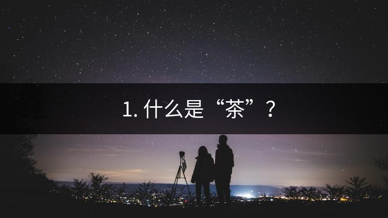 ? 1. 什么是“茶”？
