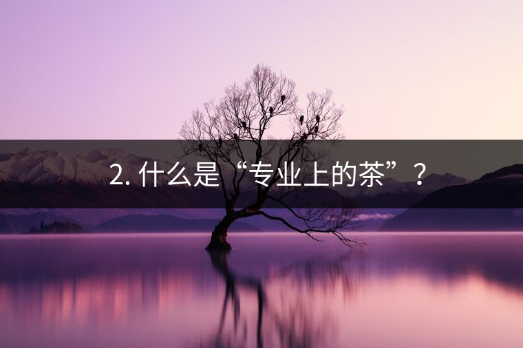? 2. 什么是“專業(yè)上的茶”？