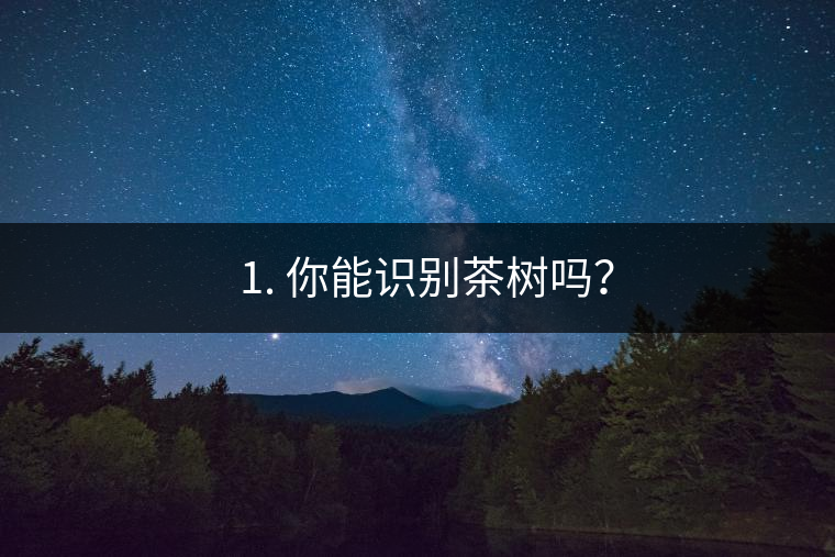 ??1. 你能識別茶樹嗎？