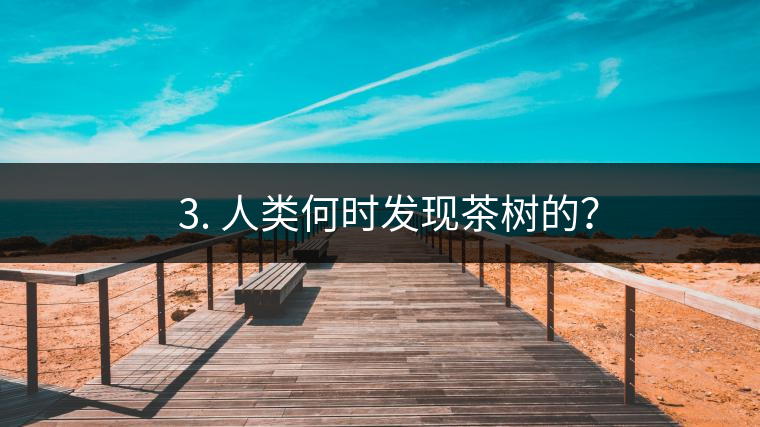 ? 3. 人類何時發(fā)現(xiàn)茶樹的？
