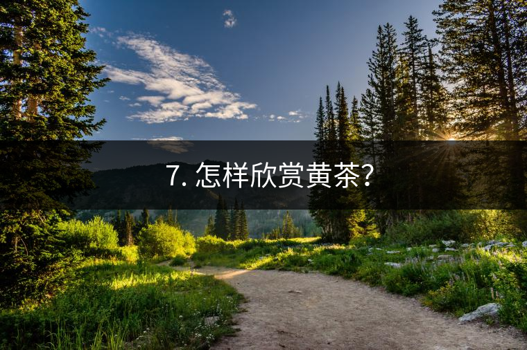 ? 7. 怎樣欣賞黃茶？