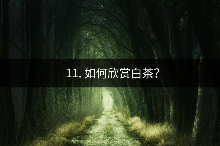 ??11. 如何欣賞白茶？