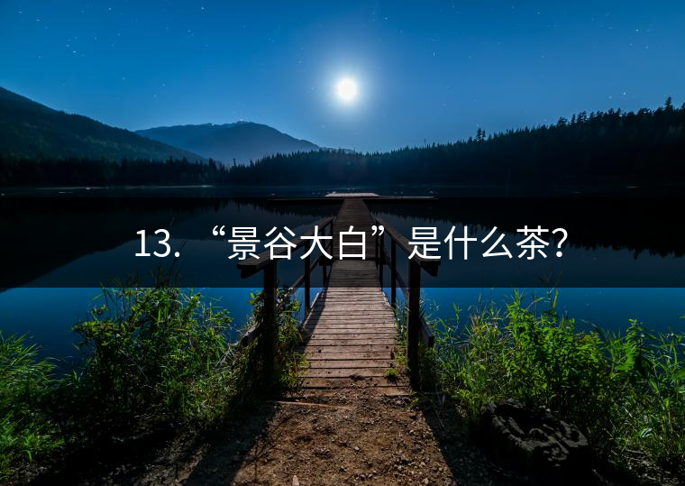 ? 13. “景谷大白”是什么茶？
