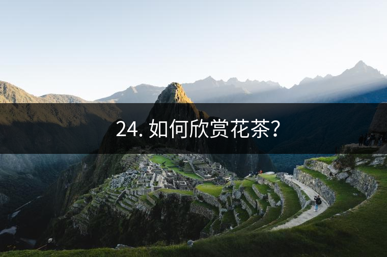 ? 24. 如何欣賞花茶？