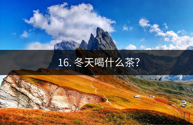 ? 16. 冬天喝什么茶？