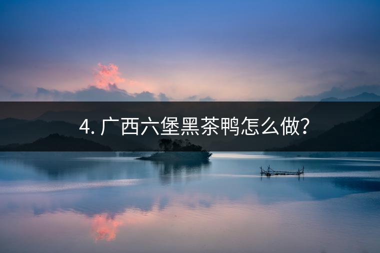 ? 4. 廣西六堡黑茶鴨怎么做？